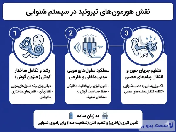 تیروئید و شنوایی